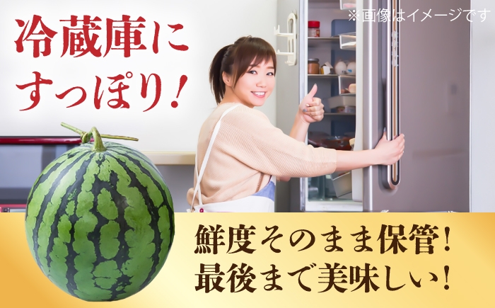 スイカ 小玉 熊本 スイカ こだま 西瓜 家庭 くだもの  すいか フルーツ 果物 自宅用 家族 suika ふるーつ さわやか
