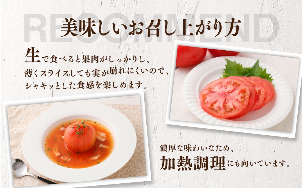 訳ありトマト 8～14玉（約2kg）