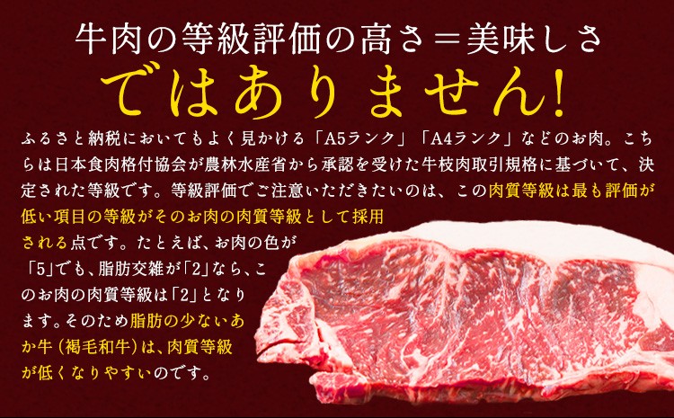 くまもと黒毛和牛 黒樺牛 A4~A5等級 ヒレステーキ 300g（150g×2）