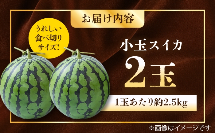 スイカ 小玉 熊本 スイカ こだま 西瓜 家庭 くだもの  すいか フルーツ 果物 自宅用 家族 suika ふるーつ さわやか