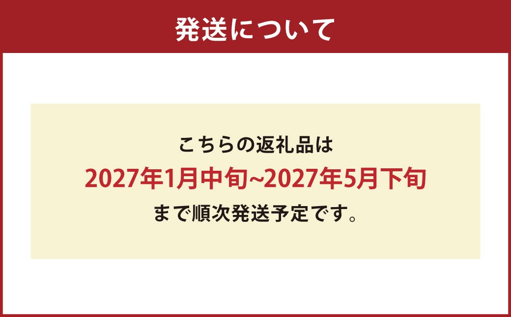 訳ありトマト 8～14玉（約2kg）