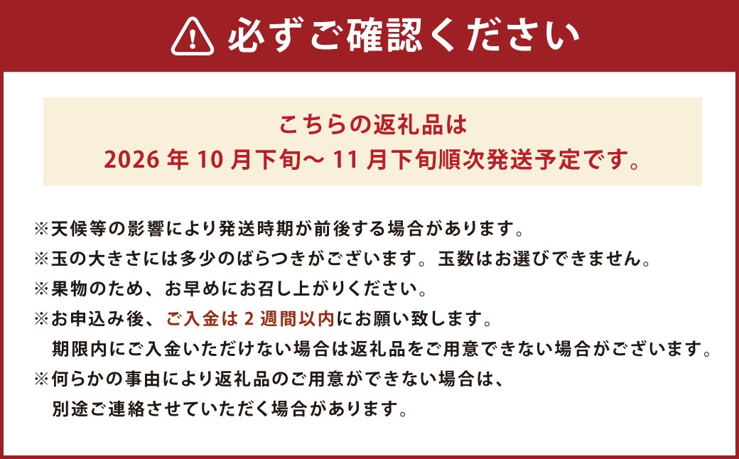 福岡県産ブランド柿・秋王 約1.5kg （4-6玉） 柿 カキ かき くだもの