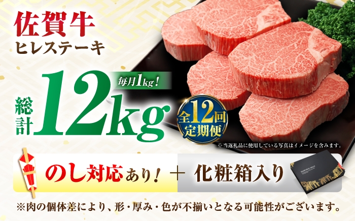 牛肉 肉 黒毛和牛 佐賀牛 和牛 佐賀 牛 A4 国産 料理 焼肉 冷凍 保存 ヒレ ヒレステーキ