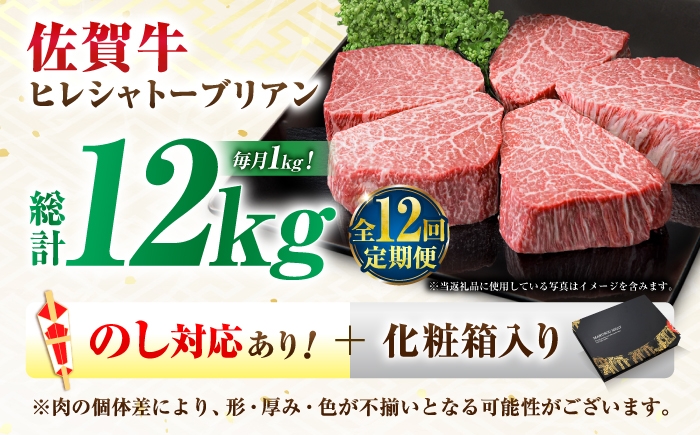 牛肉 肉 黒毛和牛 佐賀牛 和牛 佐賀 牛 A4 国産 料理 焼肉 冷凍 保存 ヒレ ヒレステーキ ヒレシャトーブリアン