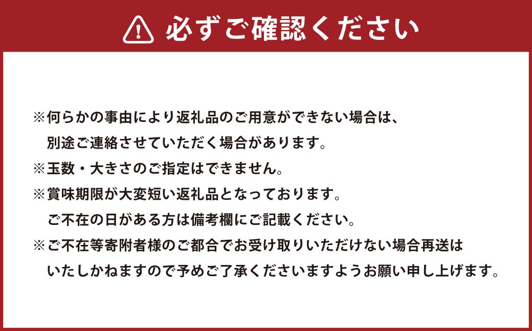 訳ありトマト 8～14玉（約2kg）