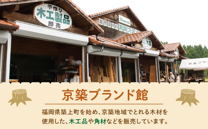 犬猫用のワンランク上のお皿