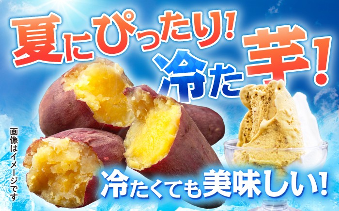 蜜 ねっとり さつまいも やき芋 冷凍 小分け 個包装 冷やし焼き芋 焼き芋 やきいも 焼芋 やきいも ヤキイモ ヤキイモ