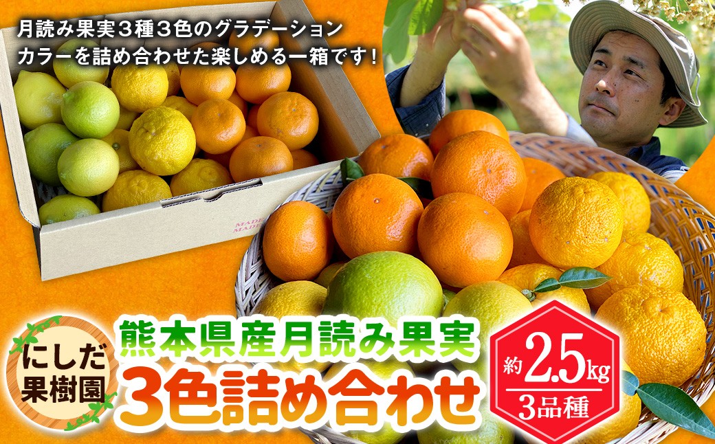 にしだ果樹園の熊本県産月読み果実3色詰め合わせ(3品種)