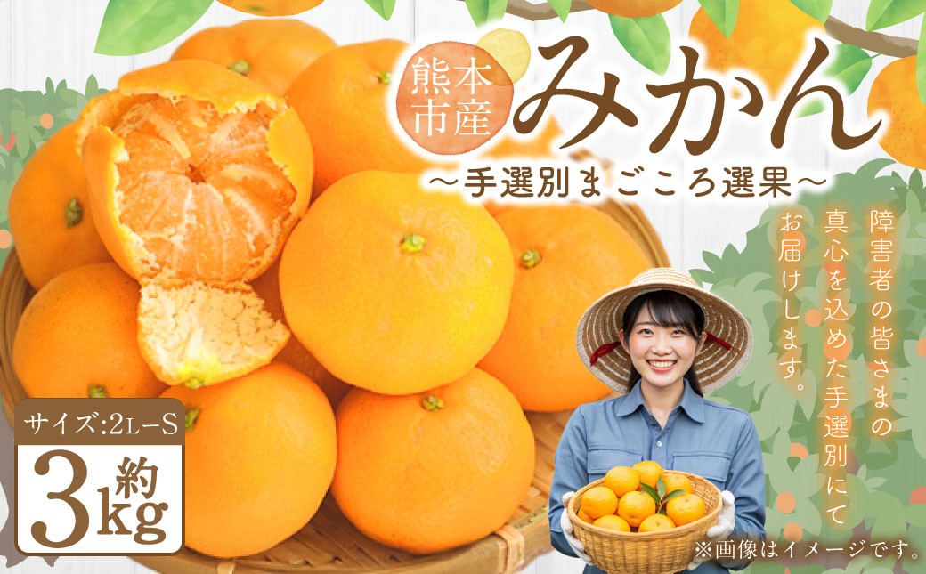 熊本県産　みかん　【手選別まごころ選果】約3kg　サイズ2L～S