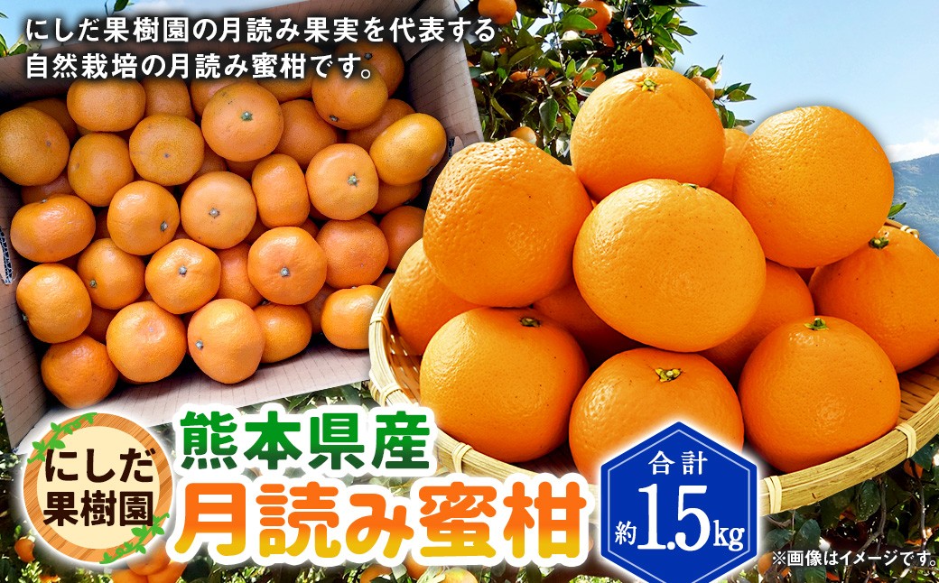 にしだ果樹園の熊本県産月読み蜜柑 約1.5kg