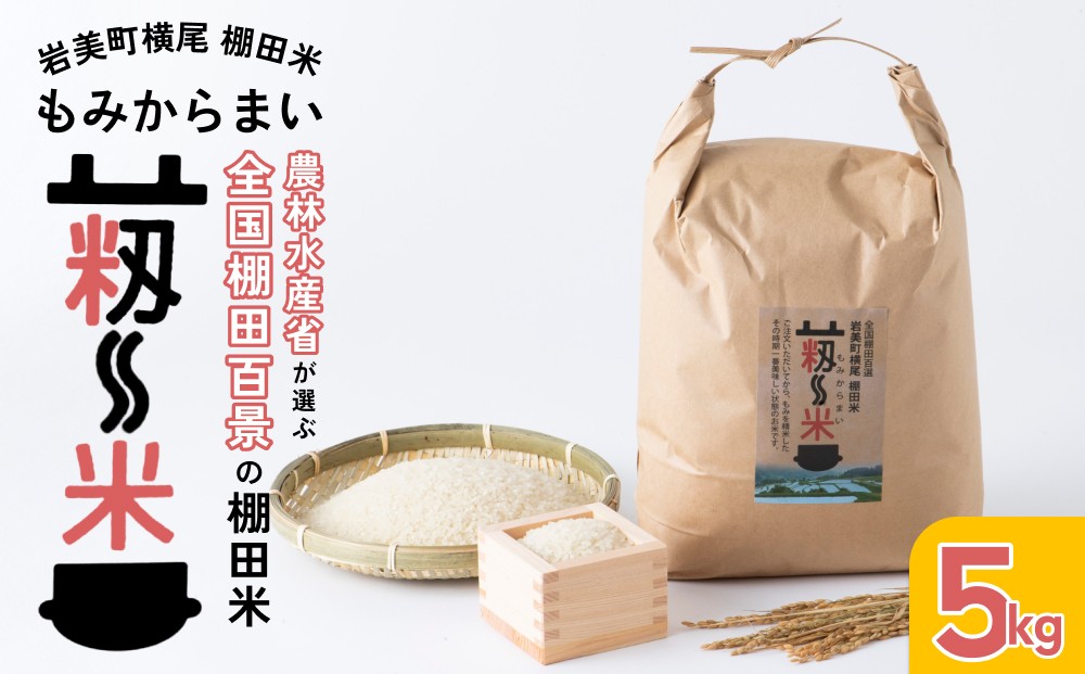 コシヒカリ
