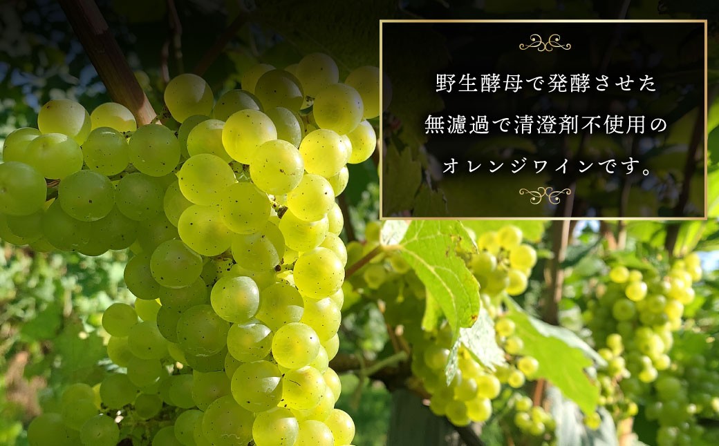 オレンジワイン 山麓のアンバー Pinot Gris 2024