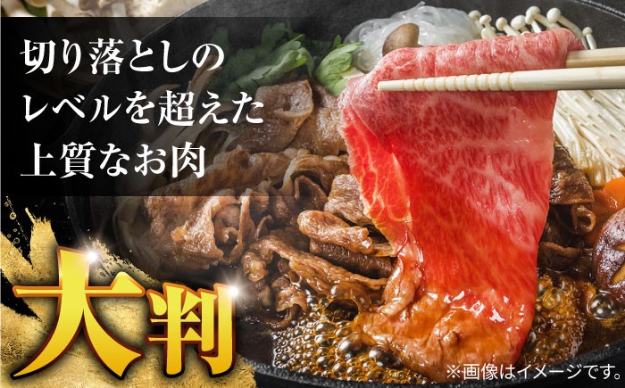 牛肉 長崎県産 長崎和牛 モモ バラ 霜降り牛肉  A5ランク きりおとし 切り落とし  冷凍 ギフト 贈答用 ぎゅうにく