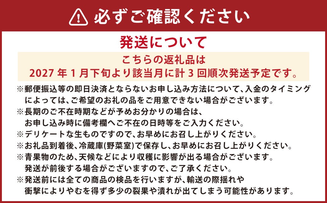 【3か月連続定期便】にべさんちの苺 熊本県産イチゴ食べ比べ定期便 (かおり野・桃薫・空音)