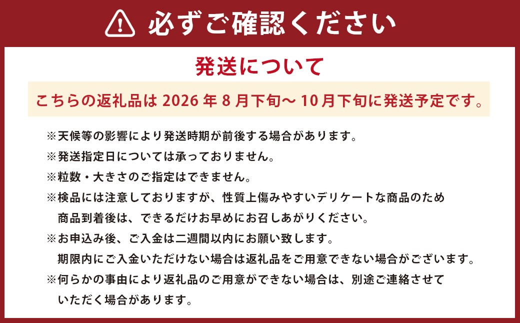熊本市産 梨 （幸水・豊水・秋月・新高など）