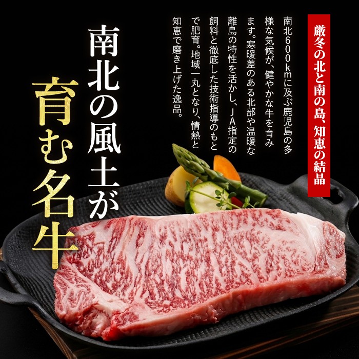 ウデスライス(5等級)すき焼きに…