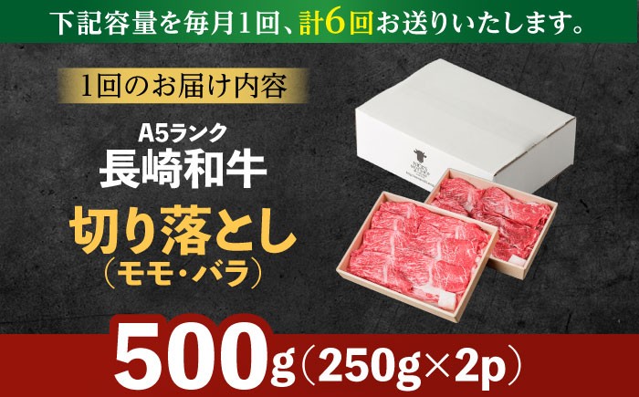 牛肉 長崎県産 長崎和牛 モモ バラ 霜降り牛肉  A5ランク きりおとし 切り落とし  冷凍 ギフト 贈答用 ぎゅうにく