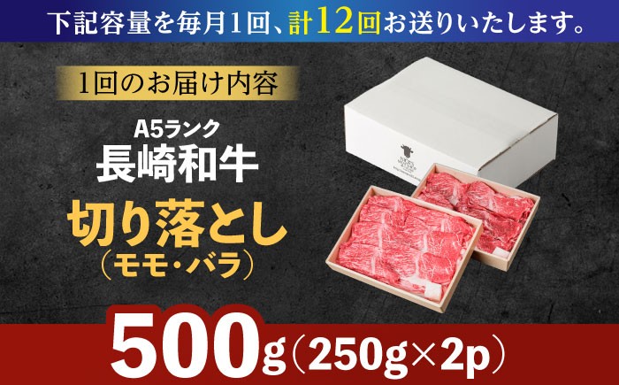 牛肉 長崎県産 長崎和牛 モモ バラ 霜降り牛肉  A5ランク きりおとし 切り落とし  冷凍 ギフト 贈答用 ぎゅうにく