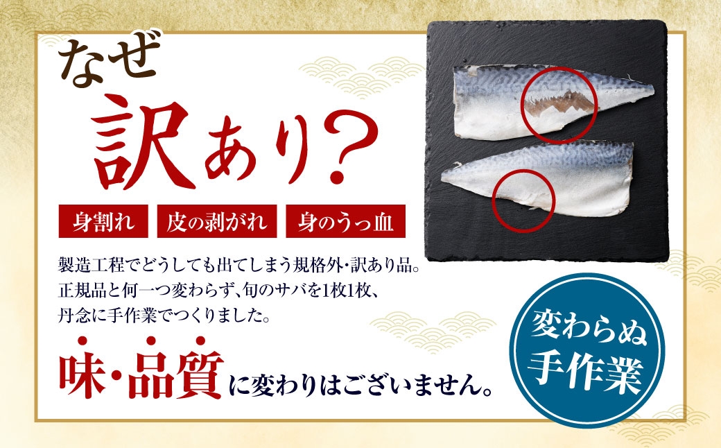 しめさば 1～1.2kg（100～120g×10パック）