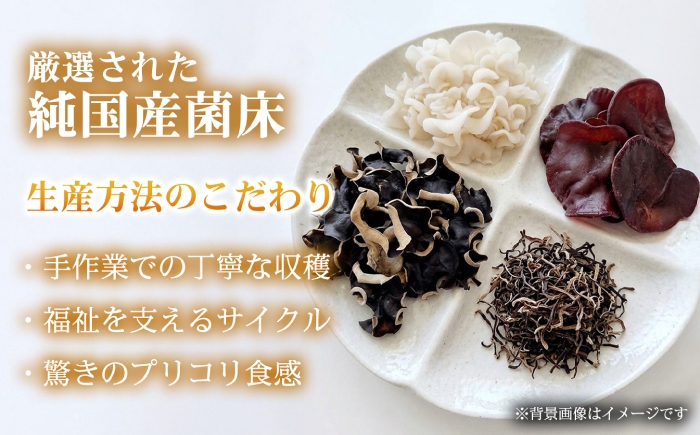 日々の食事に、無理なく取り入れられる自然素材