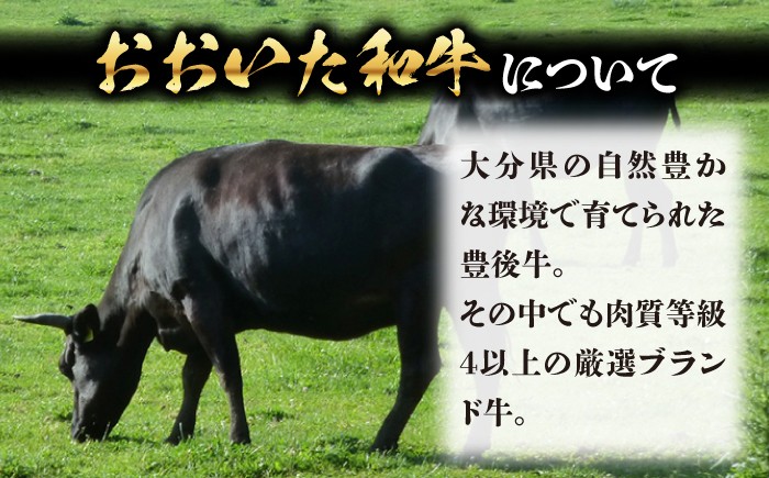 ヒレステーキ 和牛 ヒレ フィレステーキ 牛肉 おおいた和牛 ステーキ 豊後牛 国産