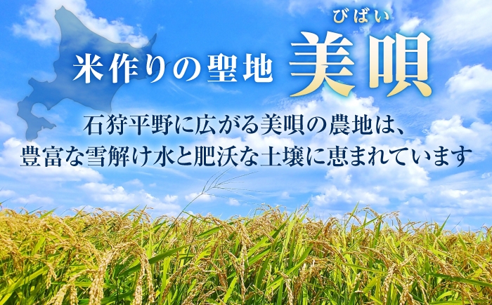 米 お米 ごはん ご飯 白米 精米 kome rice ゆめぴりか ななつぼし
