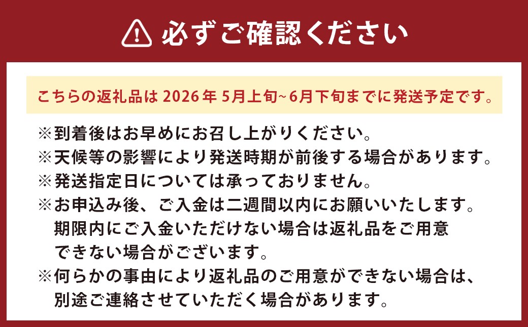 魂心の1玉 熊本産 すいか 「 はるそうせき 」 約6kg