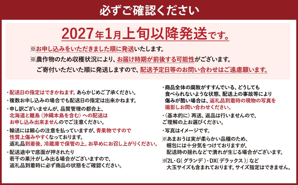 【予約受付】【2027年1月上旬～3月下旬発送予定】大容量あまおう 600g