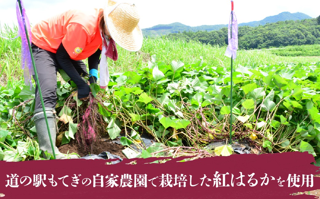 冷凍焼き芋 やきいも ヤキイモ 焼芋 芋 冷凍 冷凍焼芋 冷凍食品 スイーツ 小分け さつまいも サツマイモ お芋