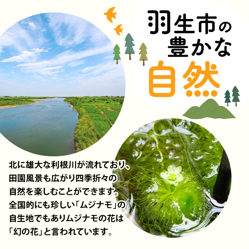 本返礼品が袋詰されたものを、クール便用の茶封筒に梱包して発送いたします。