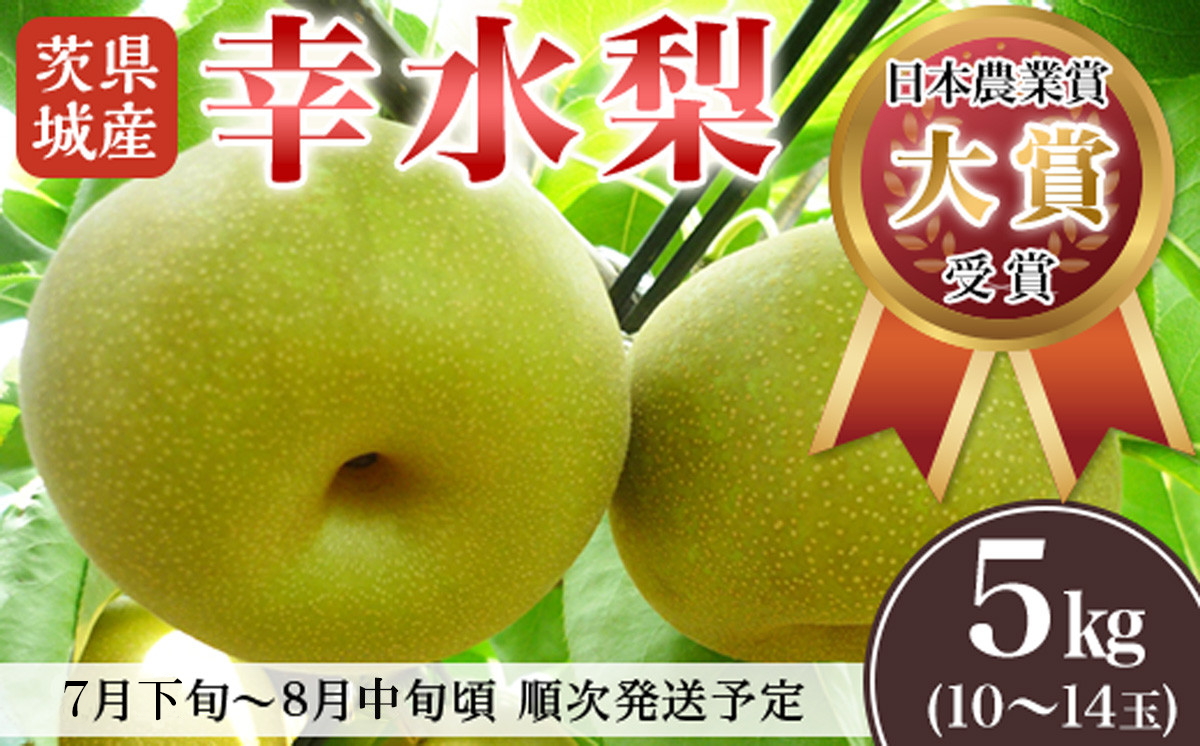 茨城県産「幸水梨」約5kg（10～14玉）