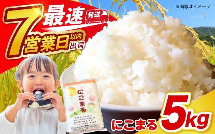 精米 白米 お米 ライス ごはん 米 こめ ご飯 国産 お取り寄せ 