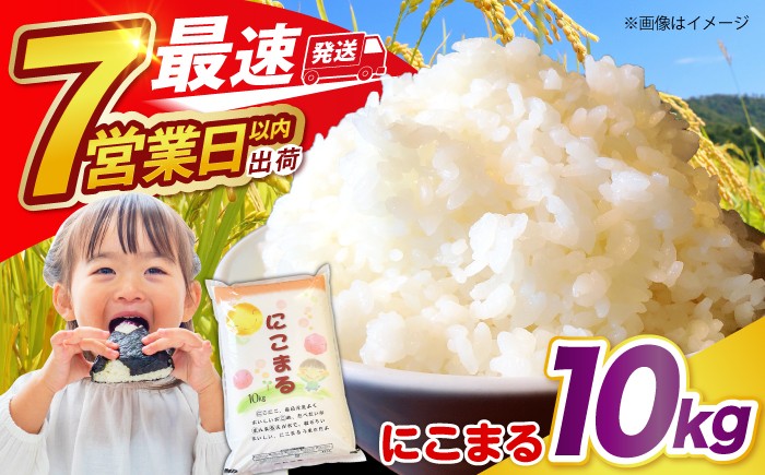 白米 米 お米 こめ コメ ライス ご飯 ごはん 国産 お取り寄せ 仕送り 人気 おすすめ