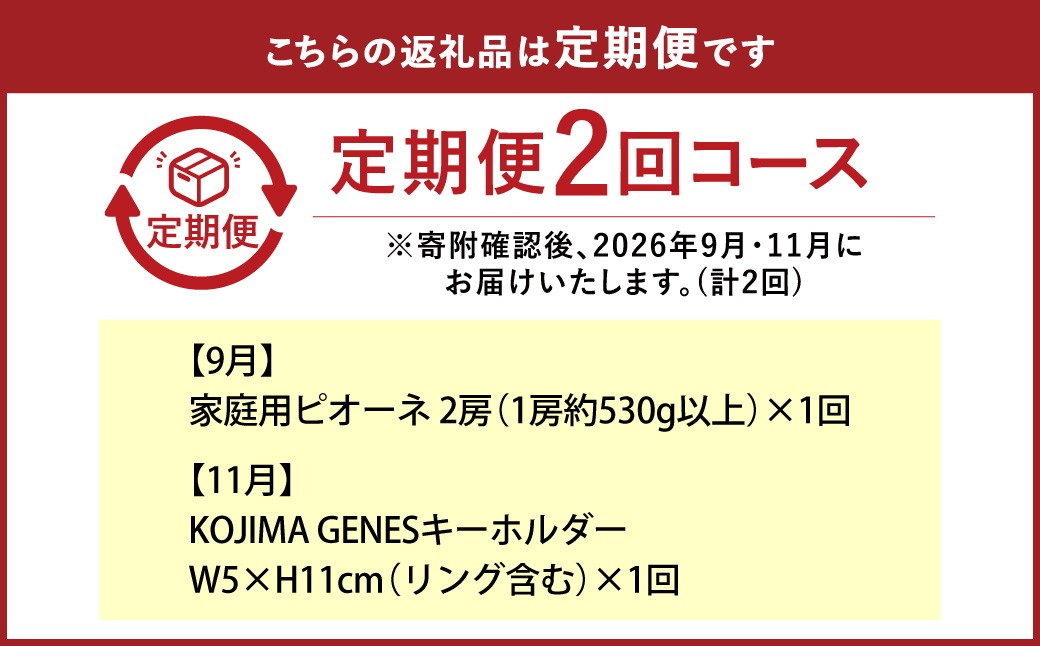 【全2回定期便】 家庭用 ピオーネ 2房（1房約530g以上）＋ KOJIMA GENES キーホルダー