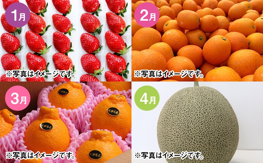 【年12回定期便】吉次園の熊本 フルーツ 定期便 