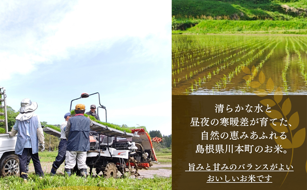 私たちが一所懸命作っています
