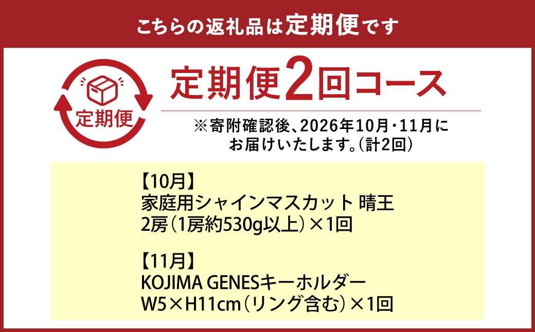 【全2回定期便】家庭用 シャインマスカット 晴王 2房（1房約530g以上）＋ KOJIMA GENES キーホルダー 