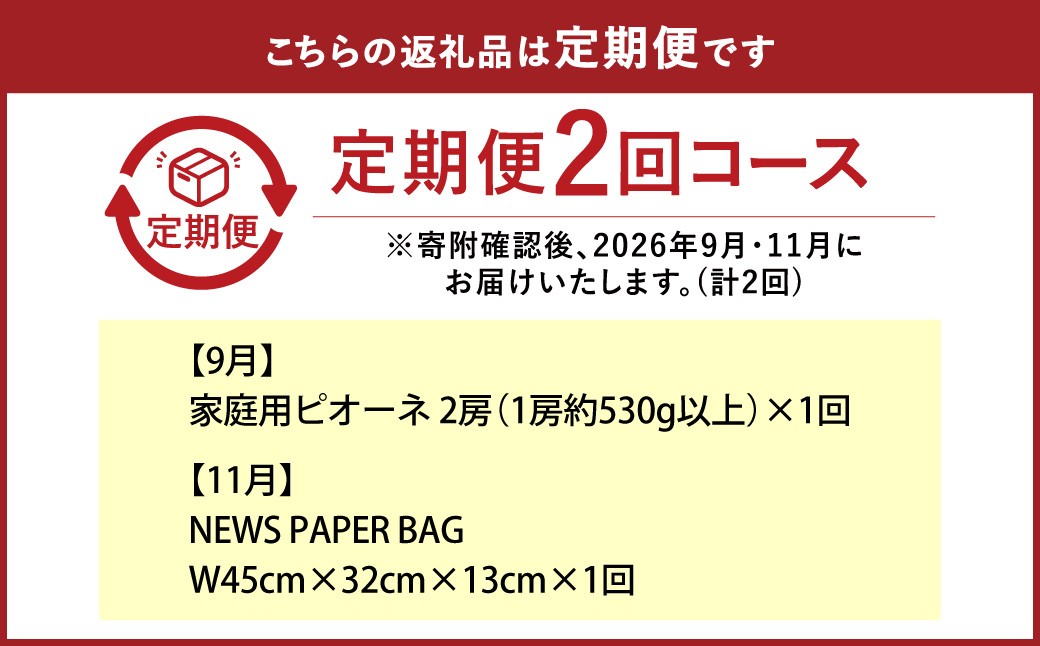 【全2回定期便】 家庭用 ピオーネ 2房（1房約530g以上）＋ NEWS PAPER BAG（Hickory）
