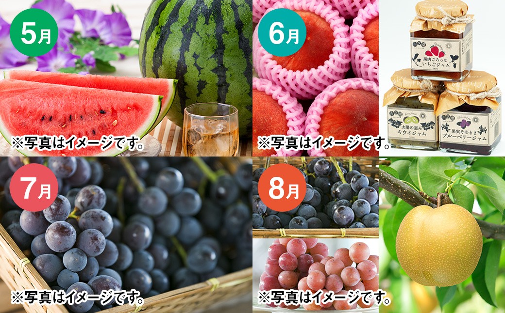【年12回定期便】吉次園の熊本 フルーツ 定期便 