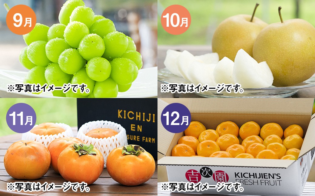 【年12回定期便】吉次園の熊本 フルーツ 定期便 