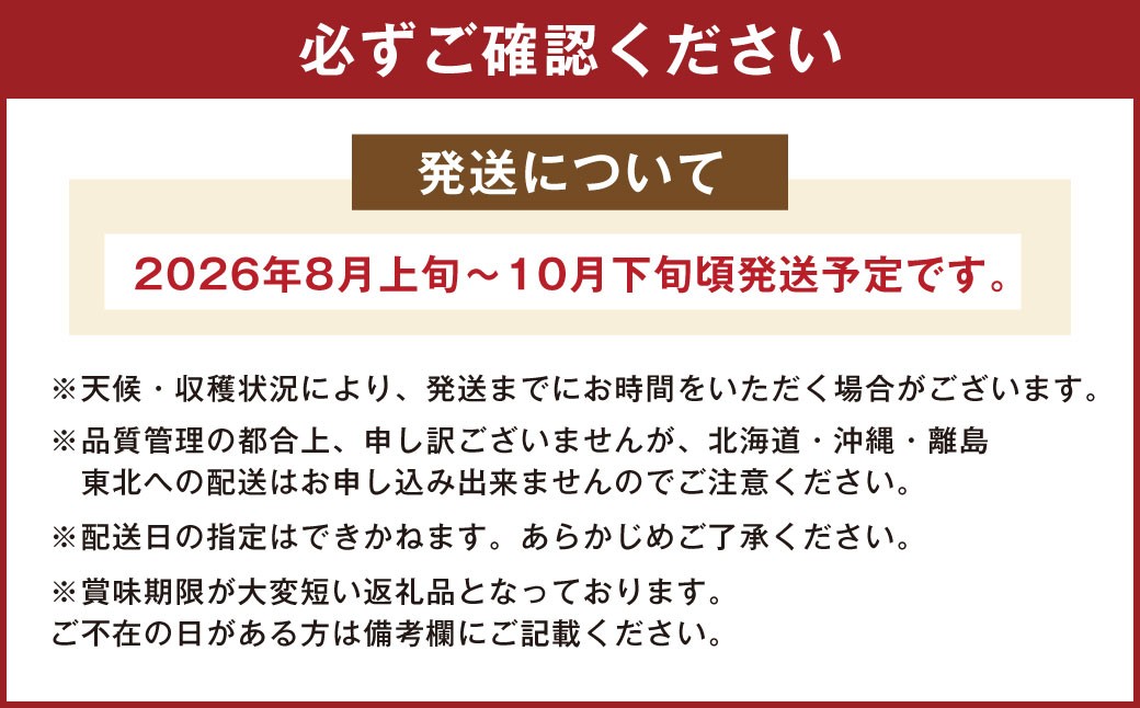 福岡県産 無花果 とよみつひめ 300g×4パック 合計1.2kg