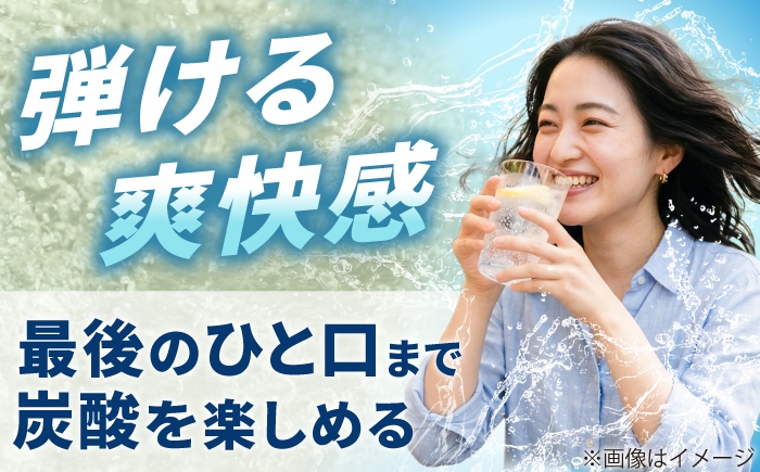 炭酸水 レモン 500ml × 8本