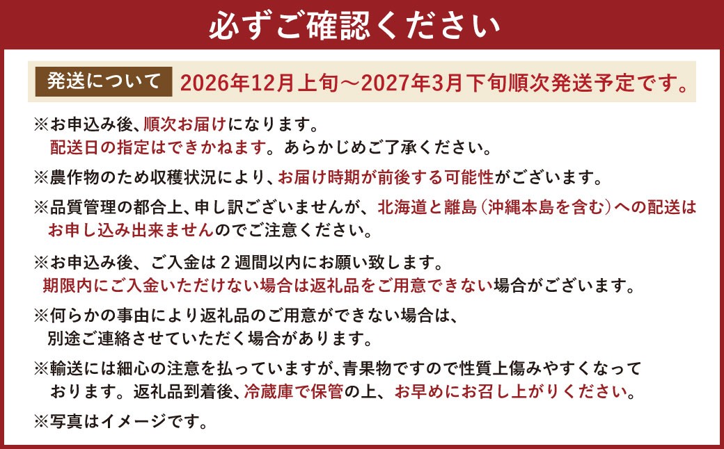 福岡県産 あまおう 12-15粒 いちご 苺 フルーツ 国産