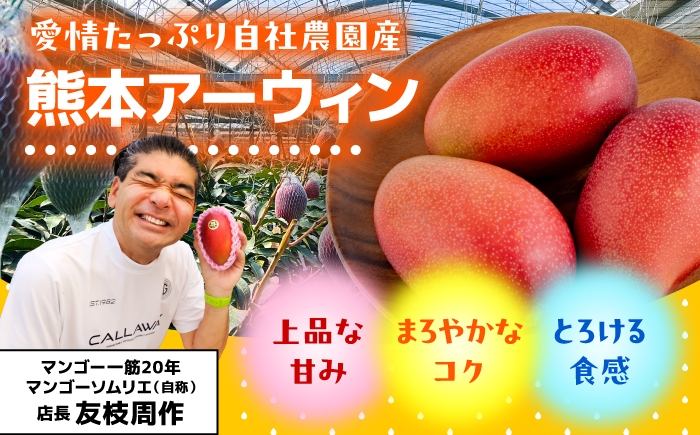 秀品 菊池マンゴー3玉 各625g以上 4Lサイズ