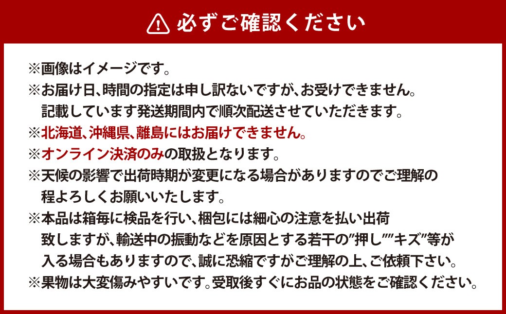 【全2回定期便】 家庭用 シャインマスカット 晴王 2房（1房約530g以上）＋ NEWS PAPER BAG（Hickory）