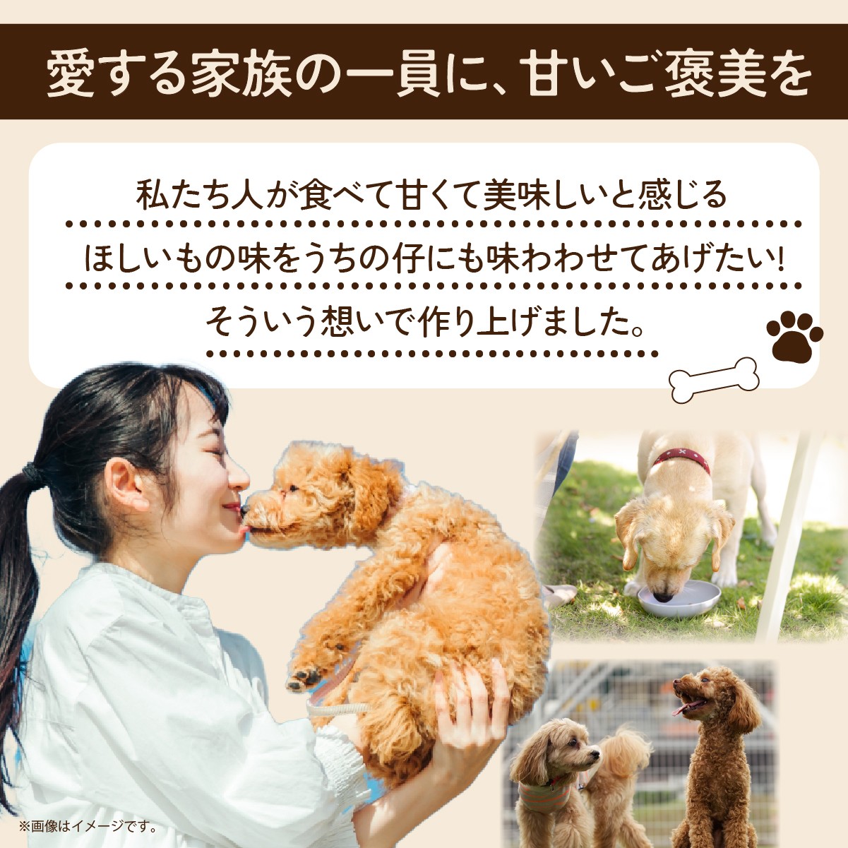 ペットフード ぺっとふーど 犬 イヌ いぬ わんちゃん ワンちゃん ごはん えさ エサ 餌 さつまいも サツマイモ