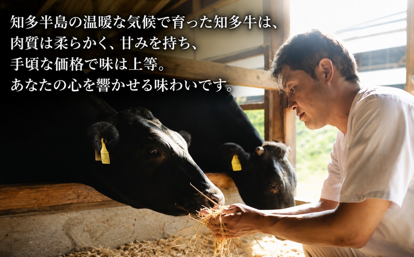国産牛ロースステーキ