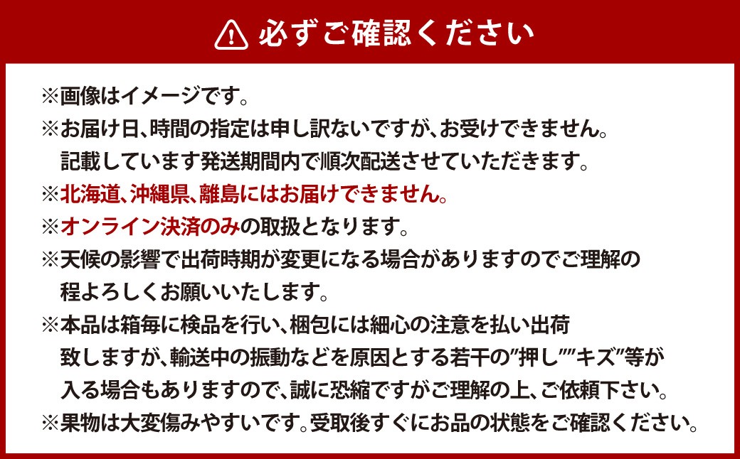 【全2回定期便】 家庭用 ピオーネ 2房（1房約530g以上）＋ NEWS PAPER BAG（INDIGO）