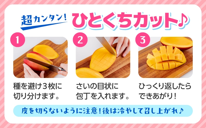 秀品 菊池マンゴー3玉 各625g以上 4Lサイズ