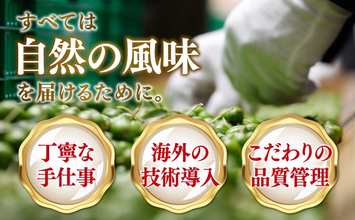 オリーブオイル エキストラバージン 油 国産 広島県産 贈答 ギフト オリーブオイル